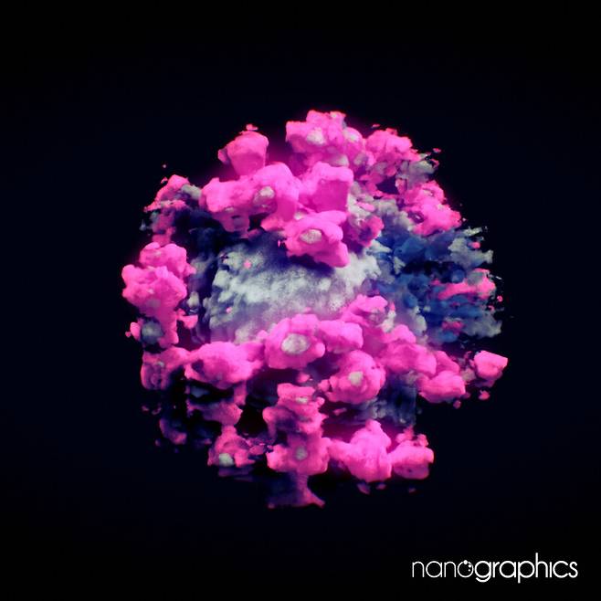 코로나19 바이러스의 초저온 전자현미경 실물 사진. Nanographics