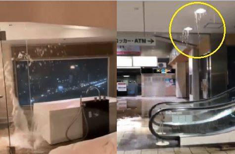 사진=SNS 갈무리