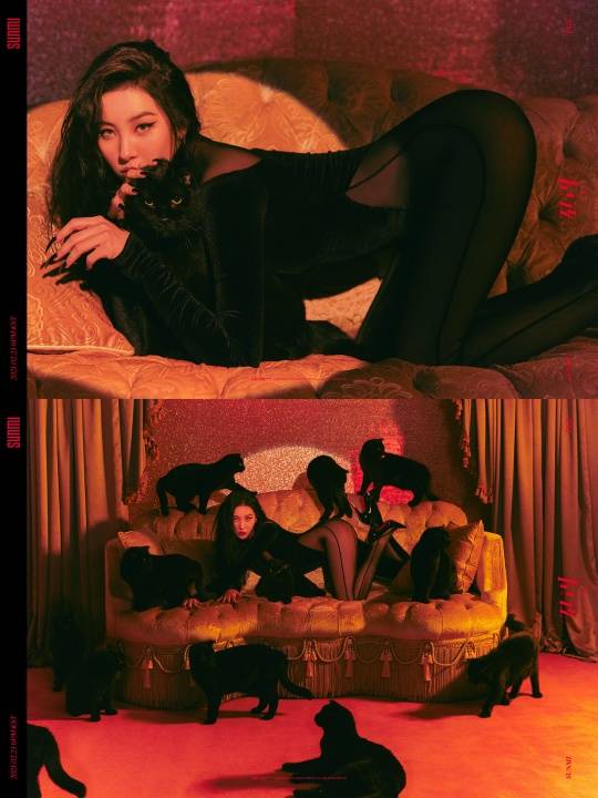 Singer Sunmi showcases mysterious charm at Concepts Photo of new Album TailSunmi released a video with Concepts Photo of the new Album Tail on official Twitter on the 18th.In the open photo, Sunmi took a brainwashing pose surrounded by a black cat and produced a mysterious and intense image.Sunmi, who attracted attention with her unconventional costume, deep down to her waist, transformed into a catwoman under a red background in another photo and conveyed her Mystery charm.Sunmi released a track list and a song Flower Like Concepts Photo ahead of the release of the new Album Tail scheduled for the 23rd.Sunmis new Album Tail, which will be comeback in eight months after the single Portrait Night released in June last year, will be released on various soundtrack sites at 6 pm on the 23rd.