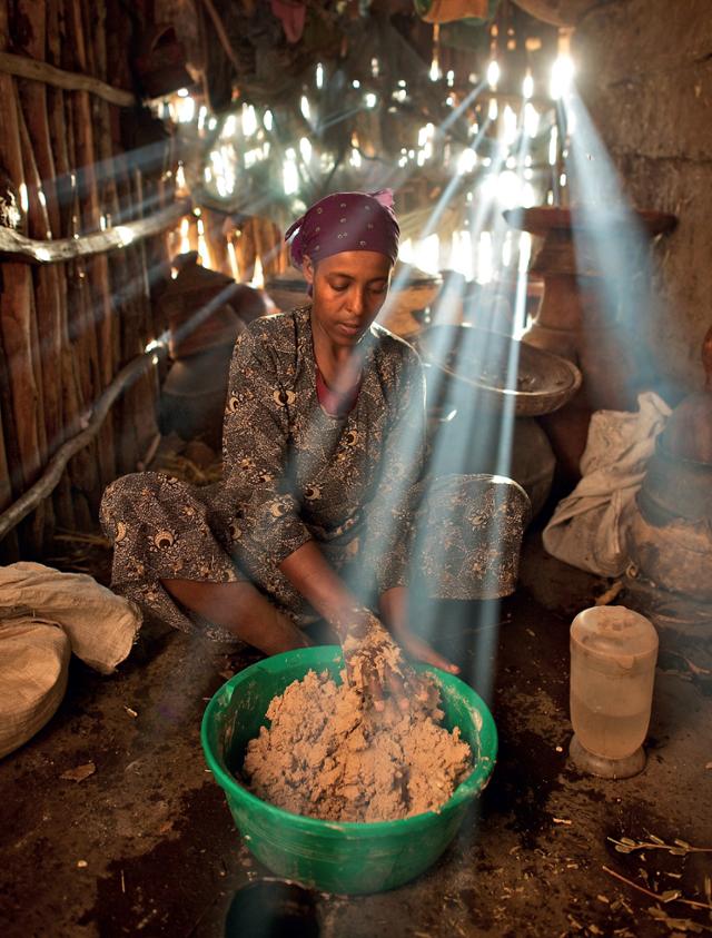 에티오피아 고원지대의 콤볼차 근처에서 타이티스 모하메드가 테프 발효 빵 안제라를 만들고 있다. 테프는 아프리카에서 널리 섭취하는 볏과의 곡물로 크기가 아주 작다. 스발바르 종자저장고에는 60가지가 넘는 전통 테프 품종이 보관돼 있다. 마농지 제공
