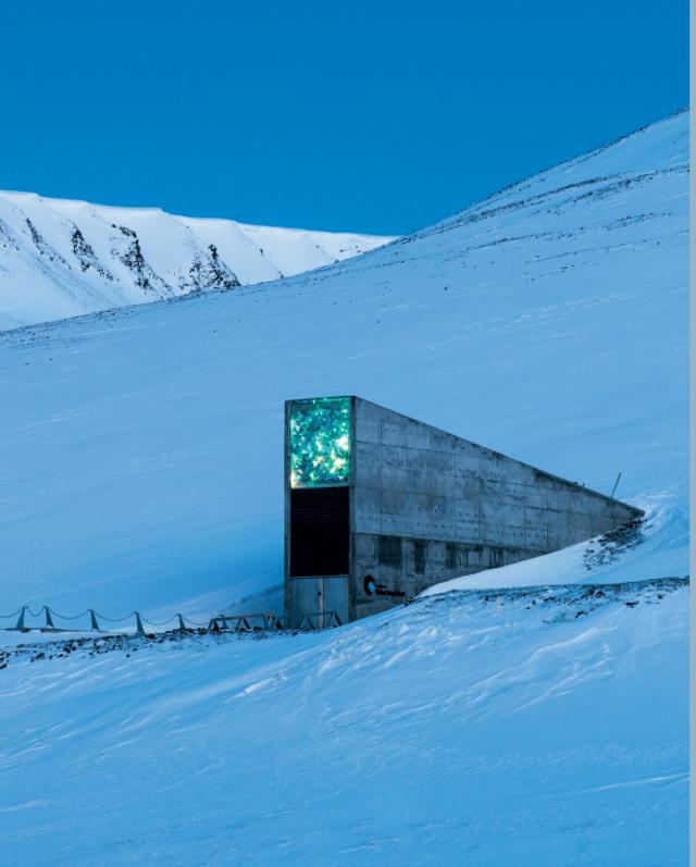 북극의 푸른 빛을 배경으로 서 있는 스발바르 국제종자저장고. 마농지 제공