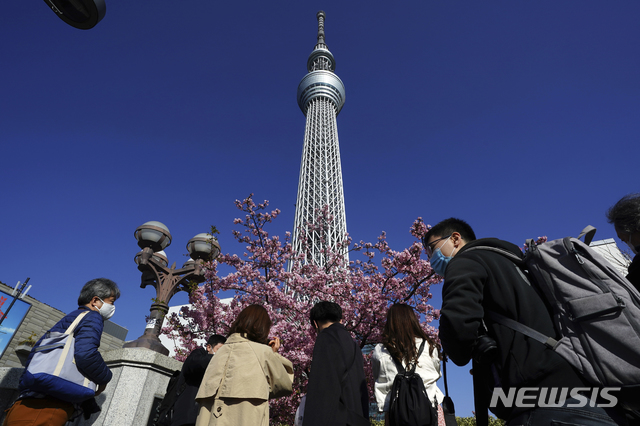 [도쿄=AP/뉴시스]지난 23일 일본 도쿄 소재 스카이트리 앞에서 벚꽃나무가 꽃을 피웠다. 시민들이 신종 코로나바이러스 감염증(코로나19) 감염 예방을 위해 마스크를 착용하고 꽃구경을 하고 있다. 2021.02.24.