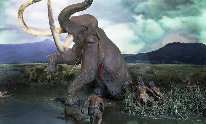 인간 뇌 용적 2배 커진 이유 찾았다…거대 동물 멸종과 밀접 관계