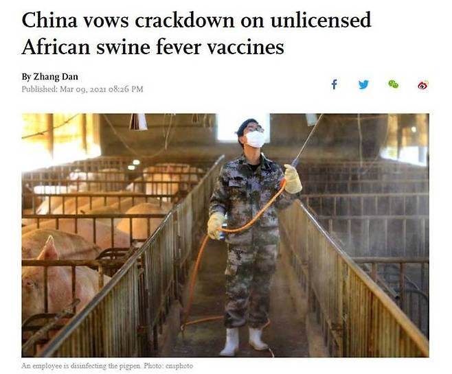 중국 관영 글로벌타임스는 가짜 아프리카돼지열병 백신이 건강한 돼지에게 바이러스를 옮기고, 사람의 교차 감염을 초래할 수 있다고 보도했다.