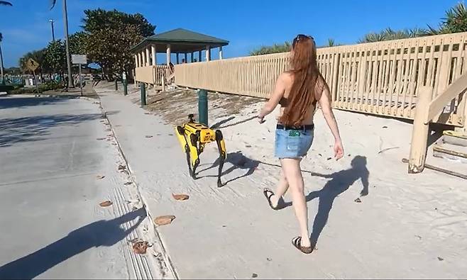 美 플로리다 해변서 여성주인과 함께 산책하는 로봇개 포착