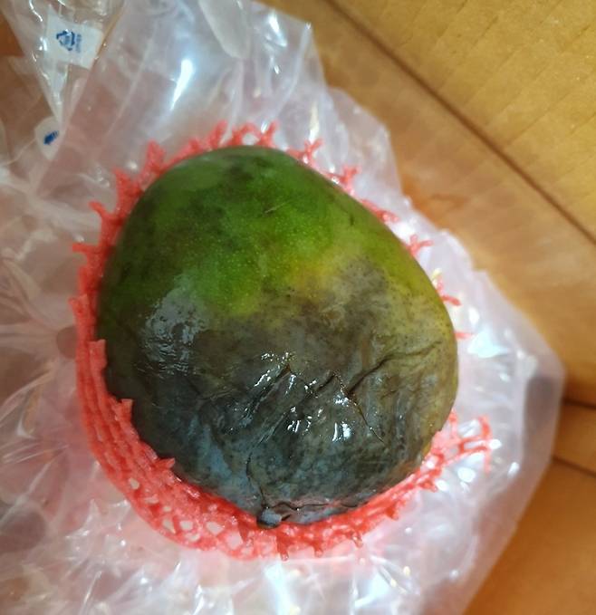 박모씨(26)가 오픈마켓에서 구매한 애플망고. 박씨는 상한 애플망고를 모두 직접 버렸다./사진 = 제보자 제공