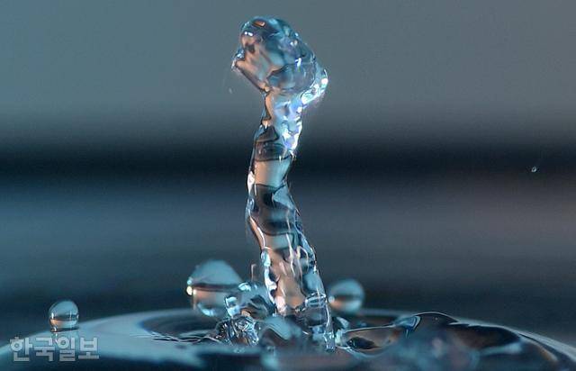 물방울이 충돌하는 순간, 또아리를 틀고 있던 '코브라'가 성이 나서 일어난 듯한 모양이 만들어졌다. 서재훈 기자