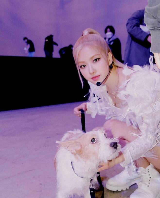 Group BLACKPINK Rosé has revealed a friendly recent situation with Pet Hank.Rosé posted several photos on his Instagram account on March 31, along with a puppy emoji.The released photo shows Rosé, who is waiting below before the stage, posing with his Pet Hank.The cute Tank and the appearance of Rosé holding him as if he were precious give him warmth.Earlier, Rosé adopted Tank, a dog that was abandoned through a shelter last December; Tank, including Rosé, is also receiving the love and attention of global fans.Meanwhile, Rosé appeared on Japanese terrestrial Nihon Terevi Similar Kiri earlier in the day, and also appeared on NBCs Kelly Clarkson Show on the 29th (local time) to decorate the talk show and stage.