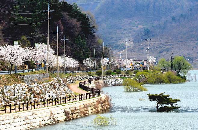 증평 삼기저수지 등잔길