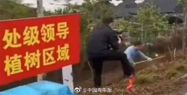 출처 : 중국 칭넨바오