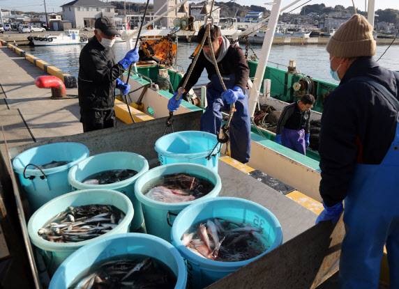 지난달 일본 후쿠시마현 이와키시 소재 오나하마항에서 현지 수산업 종사자가 후쿠시마 앞바다에서 잡힌 생선을 지게차에 싣고 있다. (사진=연합뉴스)