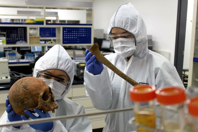 문화재분석정보센터 내 고(古)DNA실에서 방제복장을 한 연구원들이 충남 아산 명암리 유적에서 출토된 조선시대 인골을 조사하고 있다. 문화재분석정보센터 제공