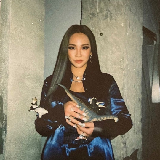 Singer CL has revealed his charismatic daily life.On the 23rd, CL posted a picture and a picture on his instagram with an article entitled What kind of dinosaur are you?In the photo, CL is staring at the camera with a dinosaur doll in the photo, and it has a strong atmosphere with a khaki long straight hair and an intense eye line.Her blue satin jacket and silver accessories featured a hip-hugging charm.CL debuted as a group 2NE1 (2NE1) in 2009 through the digital single Lollipop; he has been a solo since the dismantling of 2NE1 in 2016.PhotoCL SNS