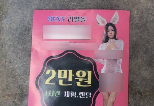 리얼돌 체험방 홍보 전단지. 사진=온라인커뮤니티 캡처
