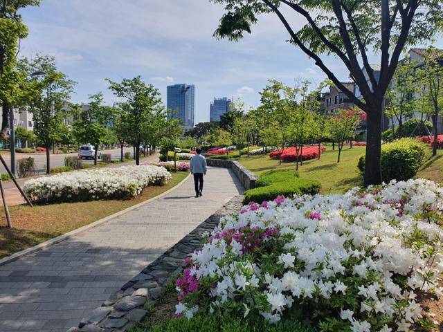 동편마을 4단지 아파트 입구 쪽에서 바라본 카페거리 옆 산책로.