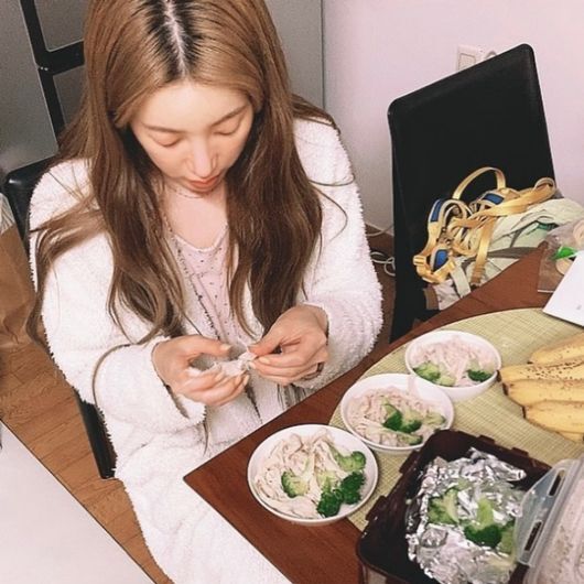 Singer Seo In-young understood her mothers heartSeo In-young posted a picture on his SNS on the 2nd with an article entitled After work, I come home and live # Dang stick life # intensive.The photo shows a figure of Seo In-young preparing a meal for Pet.The Seo In-young contains healthy ingredients, including chicken bread and broccoli, in three bowls; it is very serious in its focus.Seo In-young is not a Sister but a mother of Pet, and she is attracting attention by revealing her pure and simple appearance.Seo In-young is telling the current situation through SNS.Seo In-young SNS