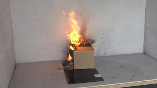 개에 의한 하이라이트 작동 화재