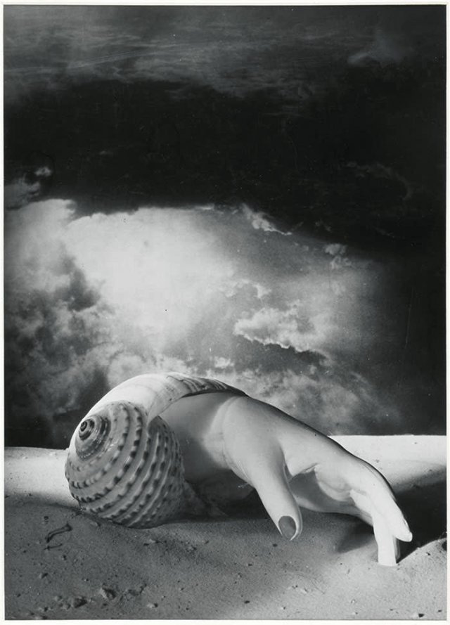 도라 마르, 무제(손-조개), 1934년. © ADAGP, Paris and DACS, London 2019