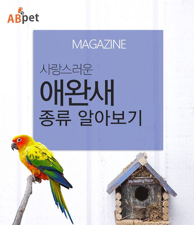 출처: 반려동물종합포털 에이비펫(ABpet)