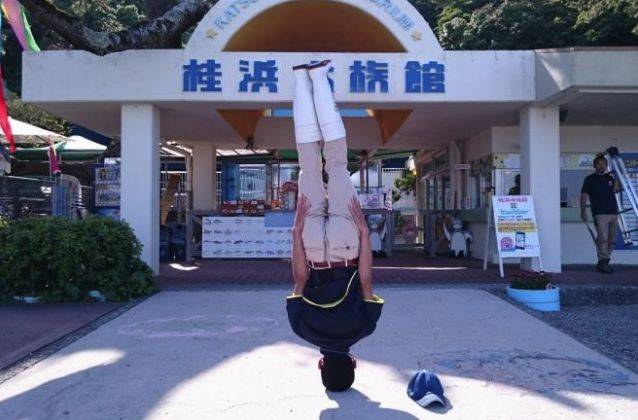 출처: 가쓰라하마 수족관 트위터