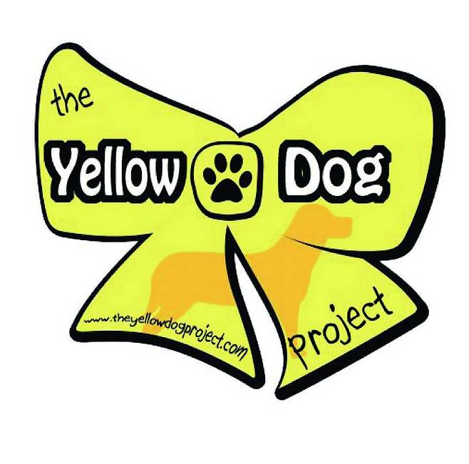 출처: The Yellow Dog Project 페이스북