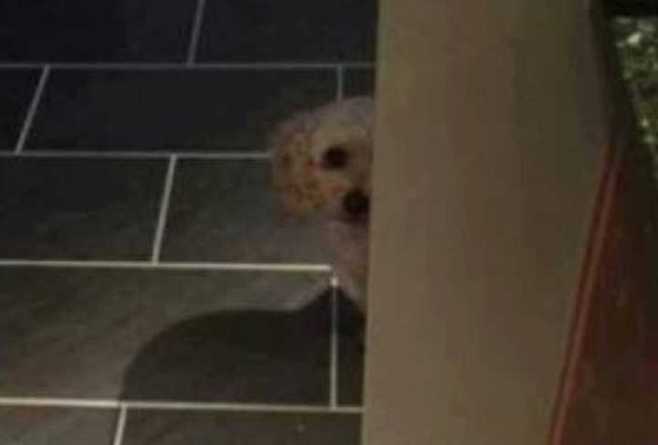 출처: 다음 카페 ∙ 도탁스