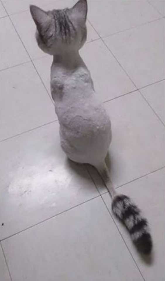 출처: 다음 카페 ∙ 내가 아는 카페