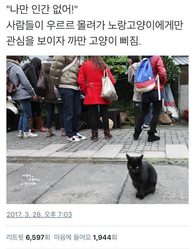 출처: 다음 카페 – 옆집 언ㄴ1