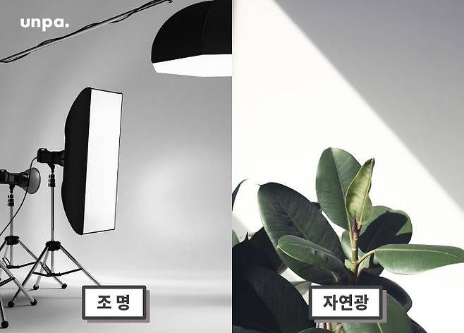 출처: 언니의파우치