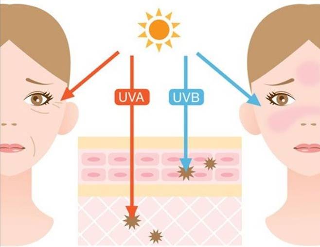출처: http://violetcat34.tistory.com/