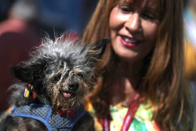 출처: Buzz Feed-This Year's Winner Of The "World's Ugliest Dog"