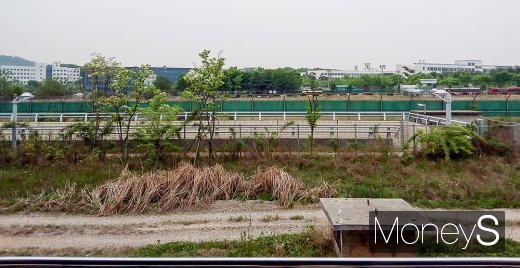 출처: 경의중앙선 화전역 앞 풍경. /사진=김노향 기자