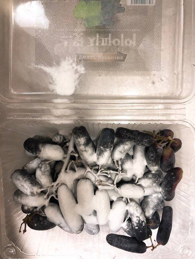 출처: 리얼푸드