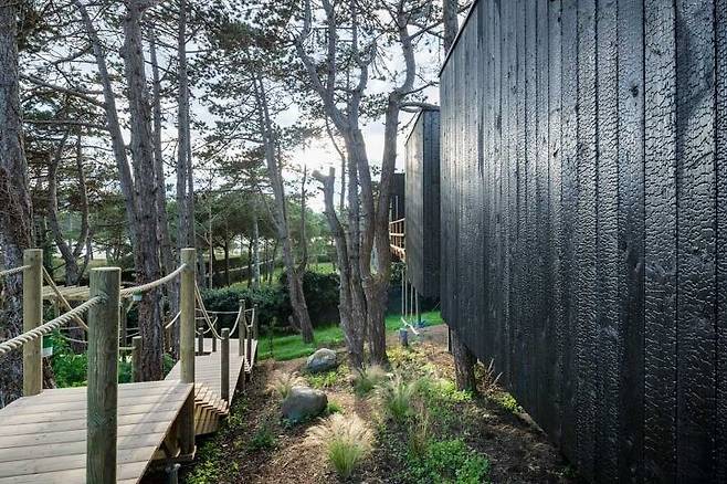 출처: ⓒCyril Folliot