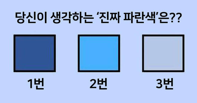 출처: 당신이 생각하는 '진짜 파란색'은?