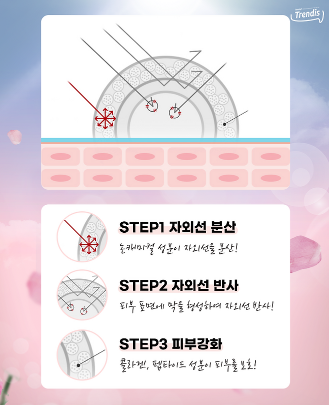 출처: 셀퓨전씨