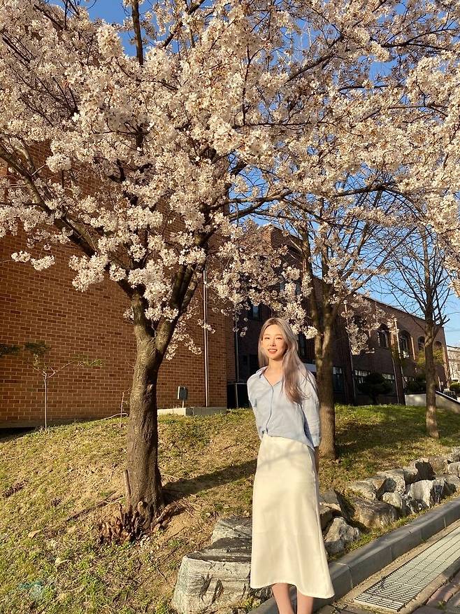 출처: 파이스타일 (파이베트)