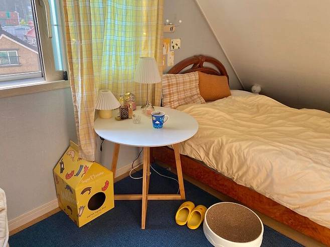 출처: 집꾸미기에서 <고양이 공간> 아이템 정보 알아보기 (▲이미지 클릭!)