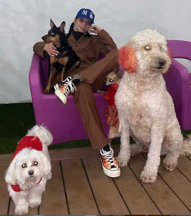 출처: @ganna_bogdan