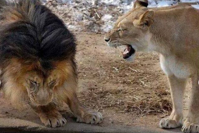 출처: https://www.instagram.com/p/CLy3yfxAoV0/?utm_source=ig_web_copy_link