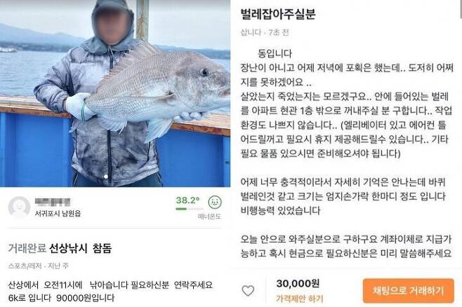 출처: 당근마켓 제공