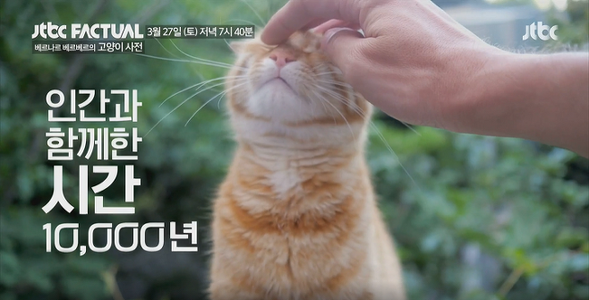 출처: JTBC, 『베르나르 베르베르의 고양이 사전』 예고편 캡쳐