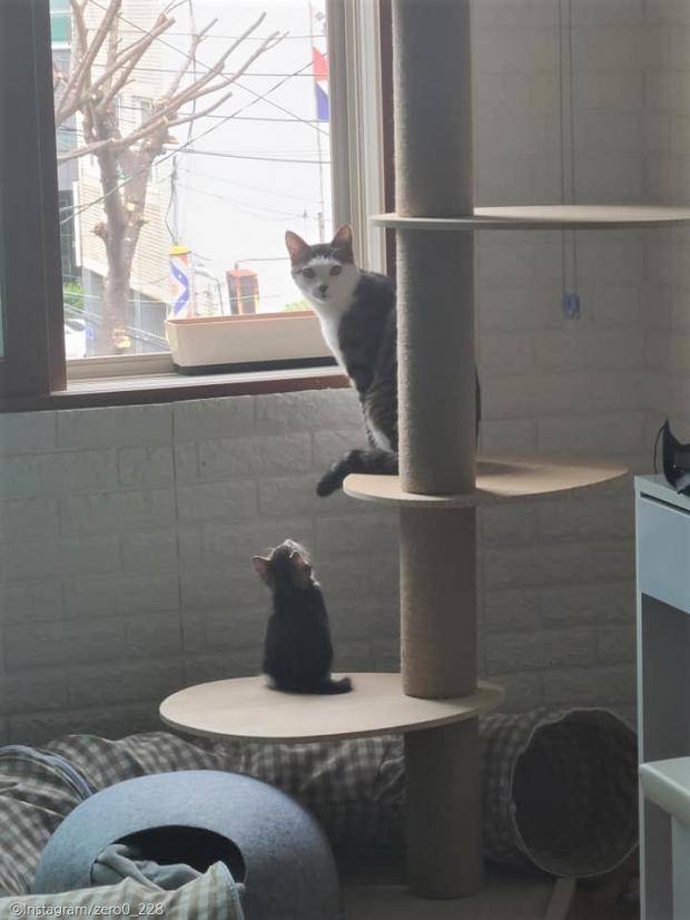 출처: Instagram/zero0_228(이하)