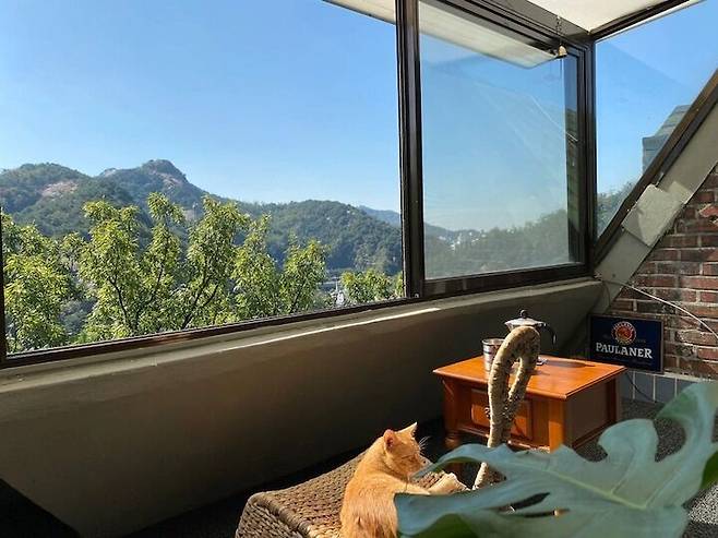 출처: 인테리어 정보 자세히 보러 가기 (▲이미지 클릭)