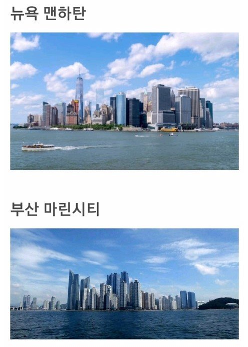 출처: 출처= 온라인 커뮤니티 캡쳐