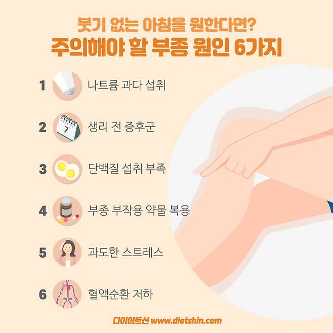 출처: 다이어트신 제작 (불펌 및 도용 금지)