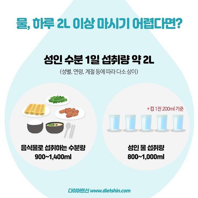 출처: 다이어트신 제작 (불펌금지)