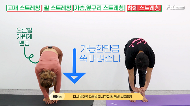 출처: 파이헬스 (파이베트)