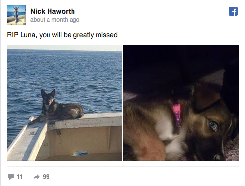 출처: https://3milliondogs.com/dogbook/dog-lost-at-sea-for-5-weeks-found-alive/