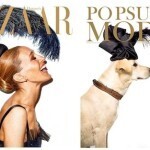 출처: https://3milliondogs.com/3-million-dogs/homeless-dogs-recreate-fashion-magazine-covers-and-the-results-are-too-cute/